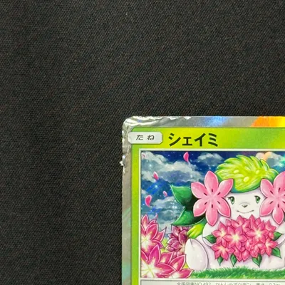 状態D：傷み（大）