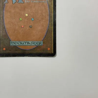 状態D：傷み（大）