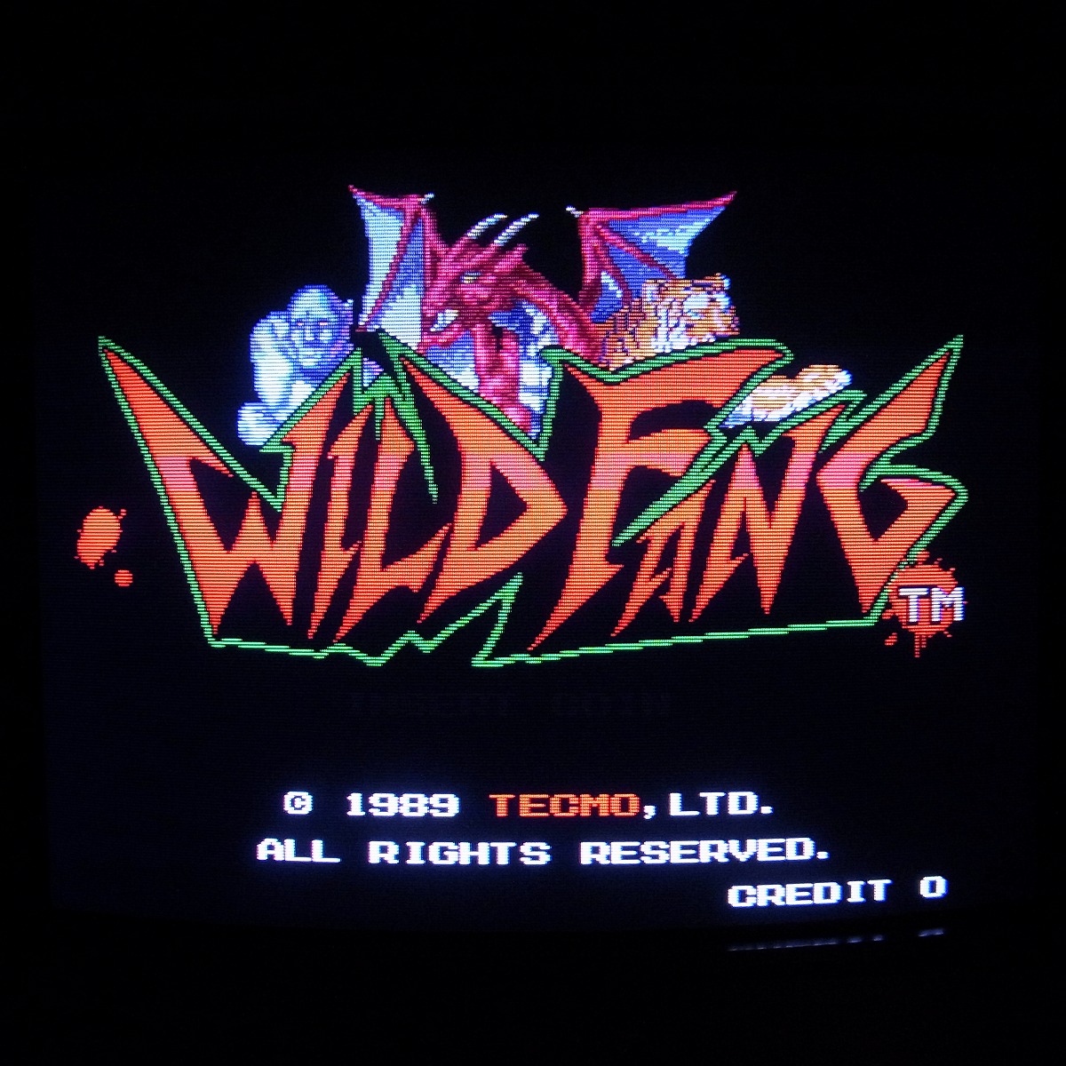 【中古アーケード基板】テクモ/TECMO ワイルドファング WILD FANG イン取純正 動作確認済