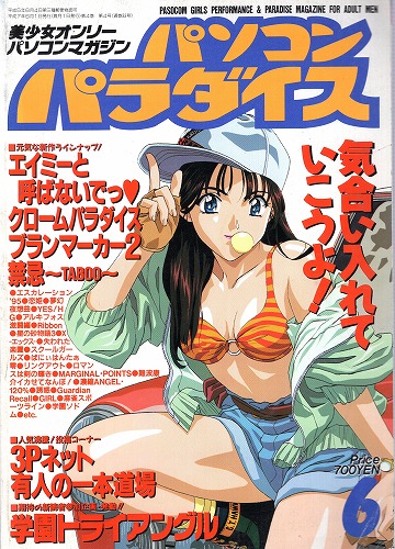 【中古書籍】パソコンパラダイス 1995年 6月号〜9月号 4冊セット