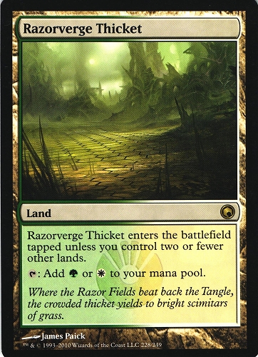 中古MTG【SOM】剃刀境の茂み / Razorverge Thicket《英》（MTG/マジック:ザ・ギャザリング）【管理:M0693A】