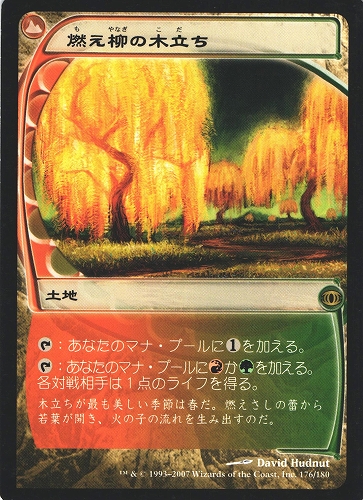 中古MTG【FUT】燃え柳の木立ち / Grove of the Burnwillows《日》（MTG/マジック:ザ・ギャザリング）【管理:M0734A】