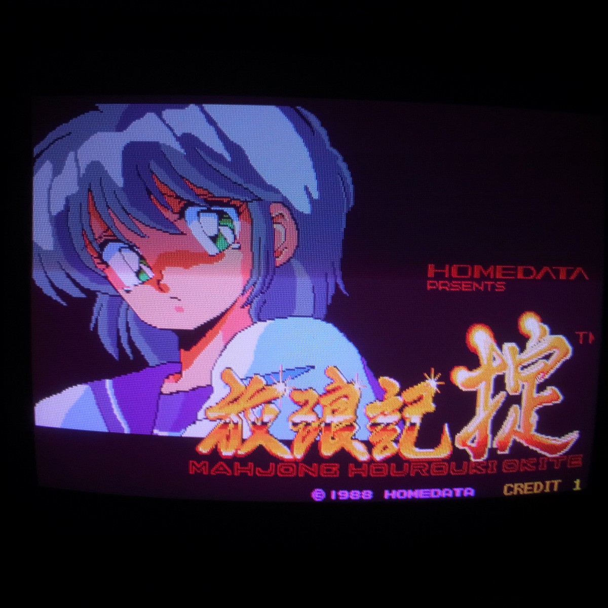 【中古アーケード基板】ホームデータ/HOME DATA 麻雀放浪記 掟 インスト1枚純正