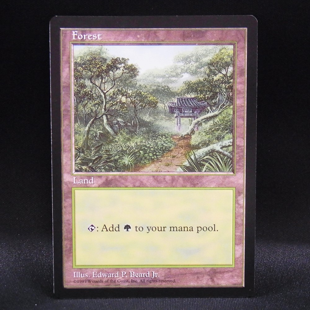 ◆【中古MTG】マジックザギャザリング│森/Forest【APAC3/EN】