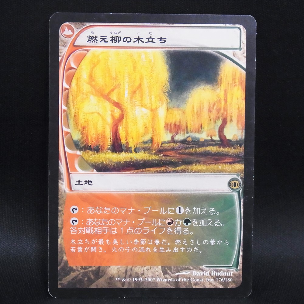 ◆【中古MTG】マジックザギャザリング│燃え柳の木立ち/Grove of the Burnwillows【JP/FUT】