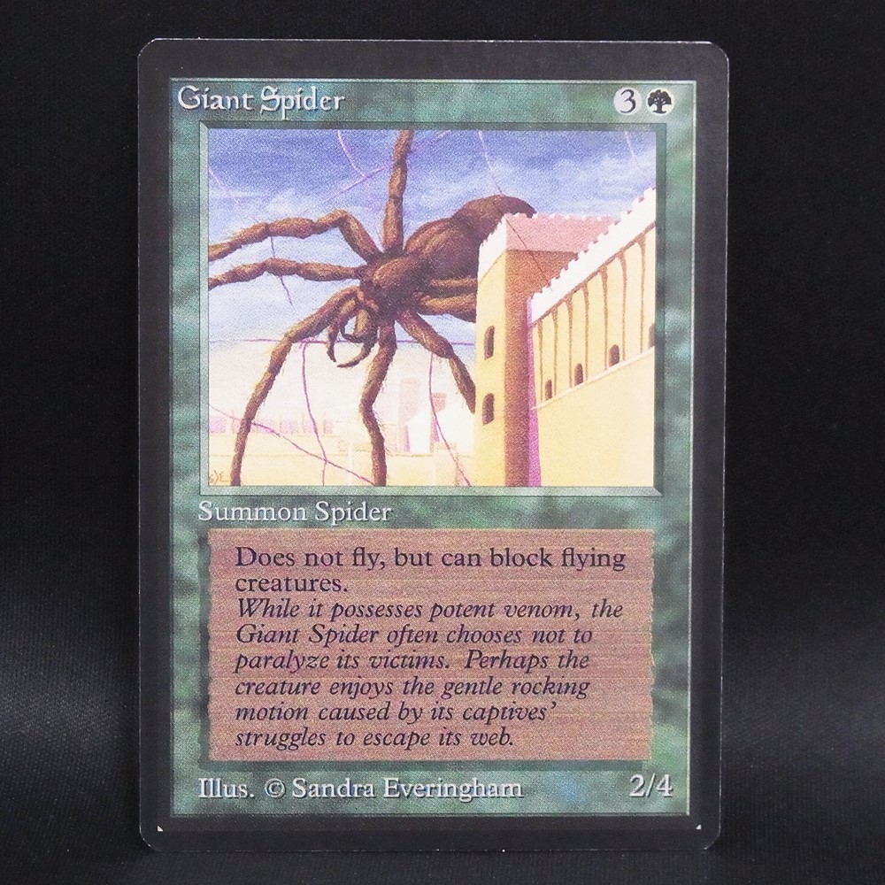 ◆【中古MTG】マジックザギャザリング│大蜘蛛/Giant Spider【EN/LEB】
