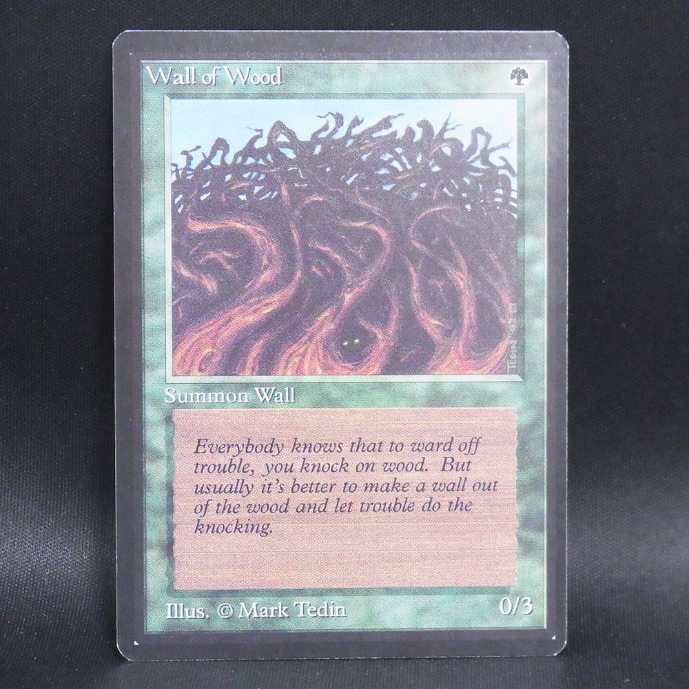 ◆【中古MTG】マジックザギャザリング│木の壁/Wall of Wood【EN/LEB】