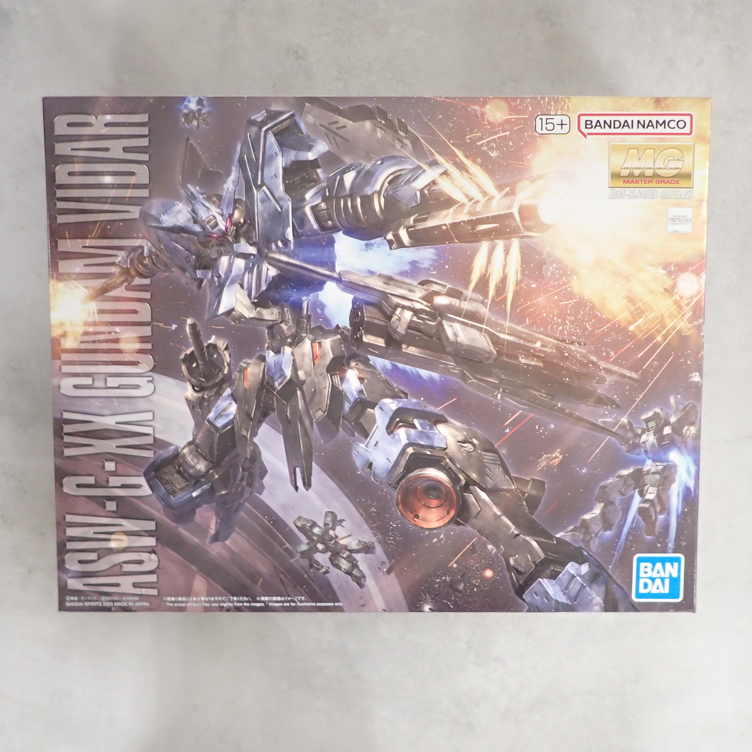 MG 1/100 ガンダムヴィダール
