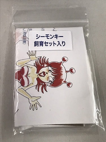 シーモンキー飼育セット