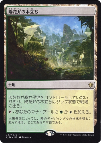 中古MTG【XLN】陽花弁の木立ち / Sunpetal Grove《日》（MTG/マジック:ザ・ギャザリング）【管理:M1526】