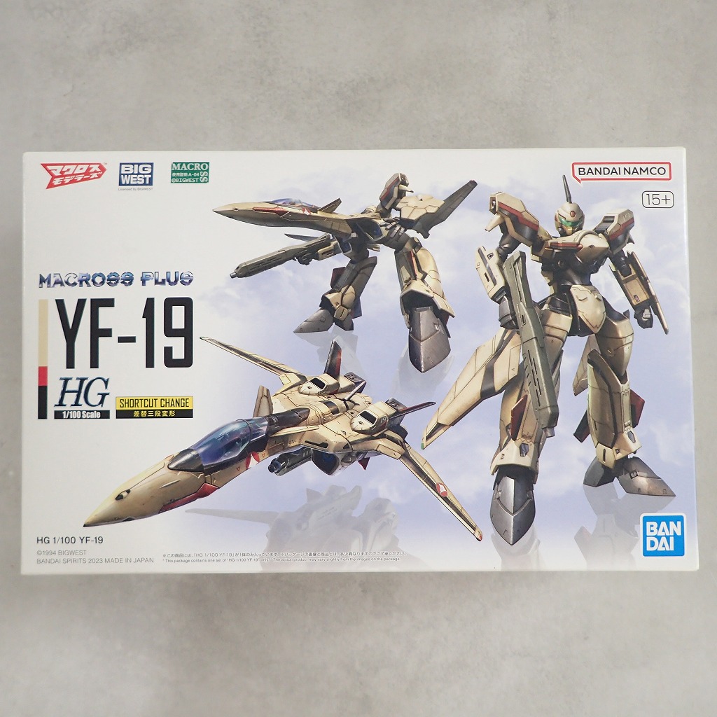 HG 1/100 マクロスプラス YF-19