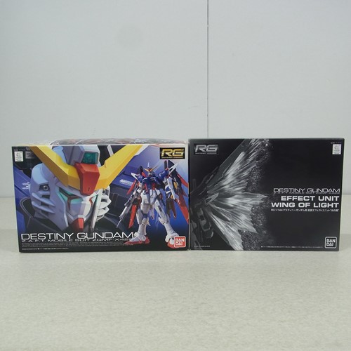 RG 1/144 デスティニーガンダム＋拡張エフェクトユニット“光の翼”