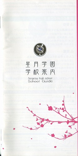 【セール品】[説明書のみ]Starry☆Sky〜in Spring〜Portable