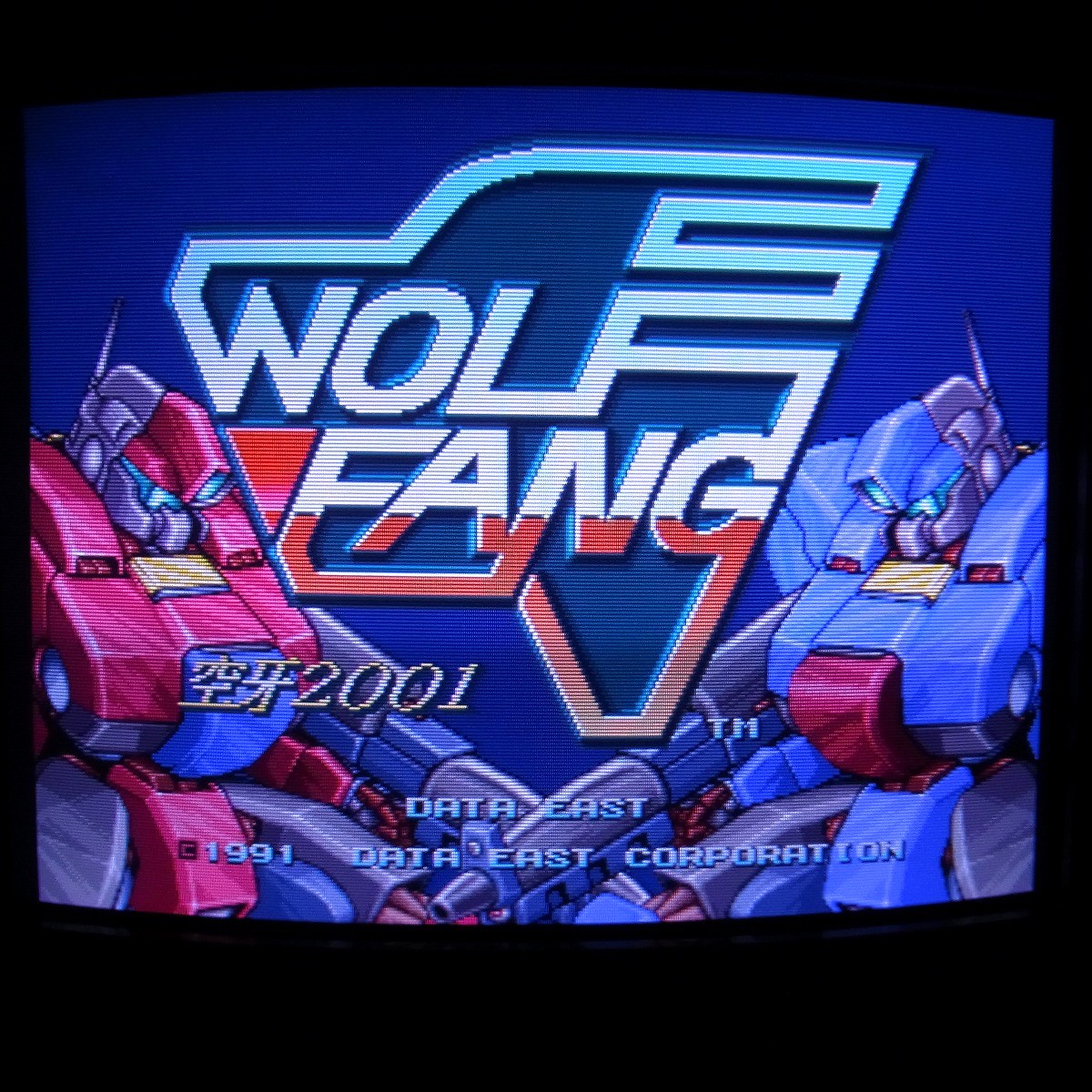 【中古アーケード基板】データイースト/DATA EAST ウルフファング 空牙2001 WOLF FANG DECO