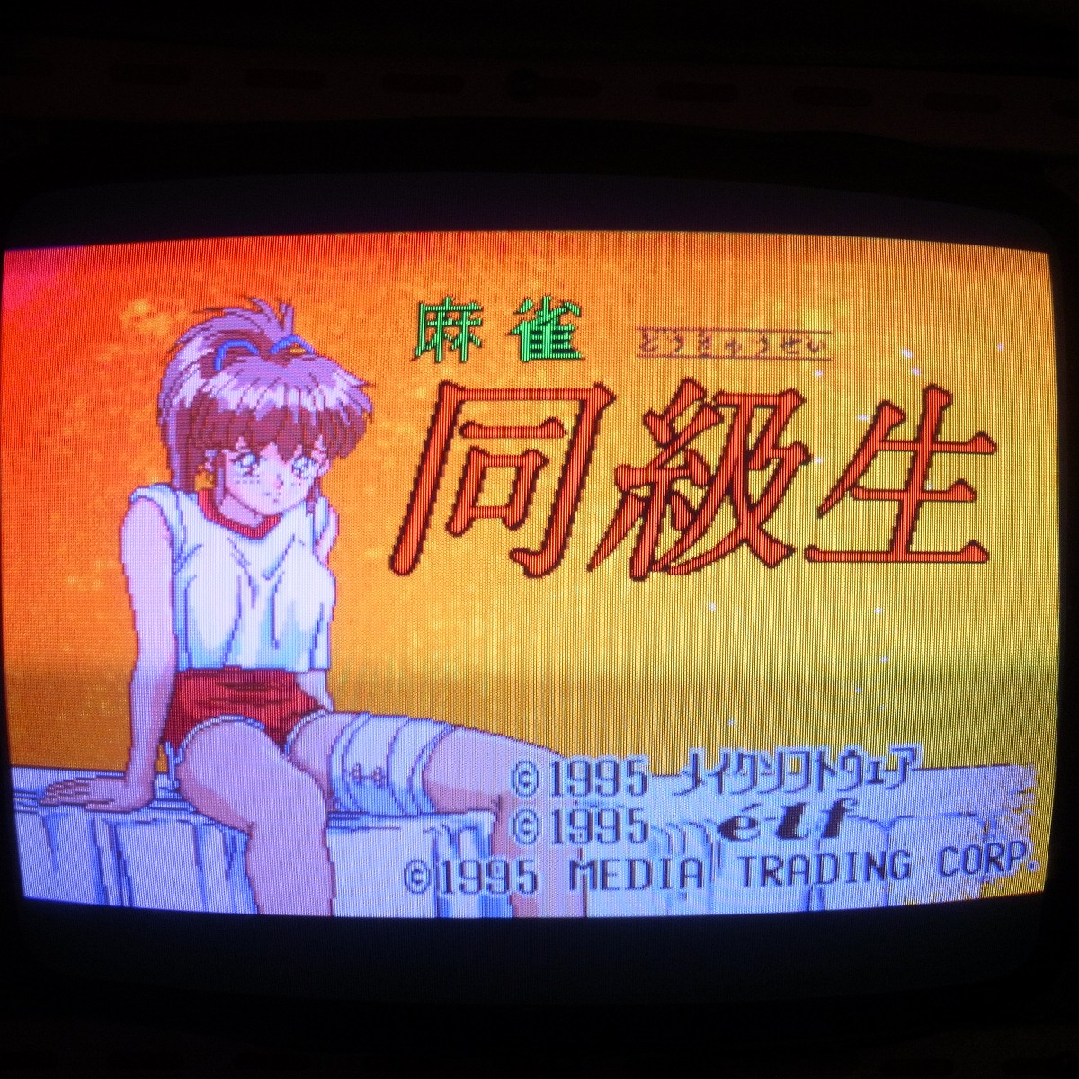 【中古アーケード基板】メイクソフトウェア 麻雀 同級生 MAKE SOFTWARE ELF イン取純正