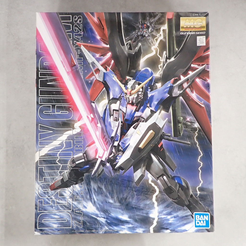 MG 1/100 デスティニーガンダム