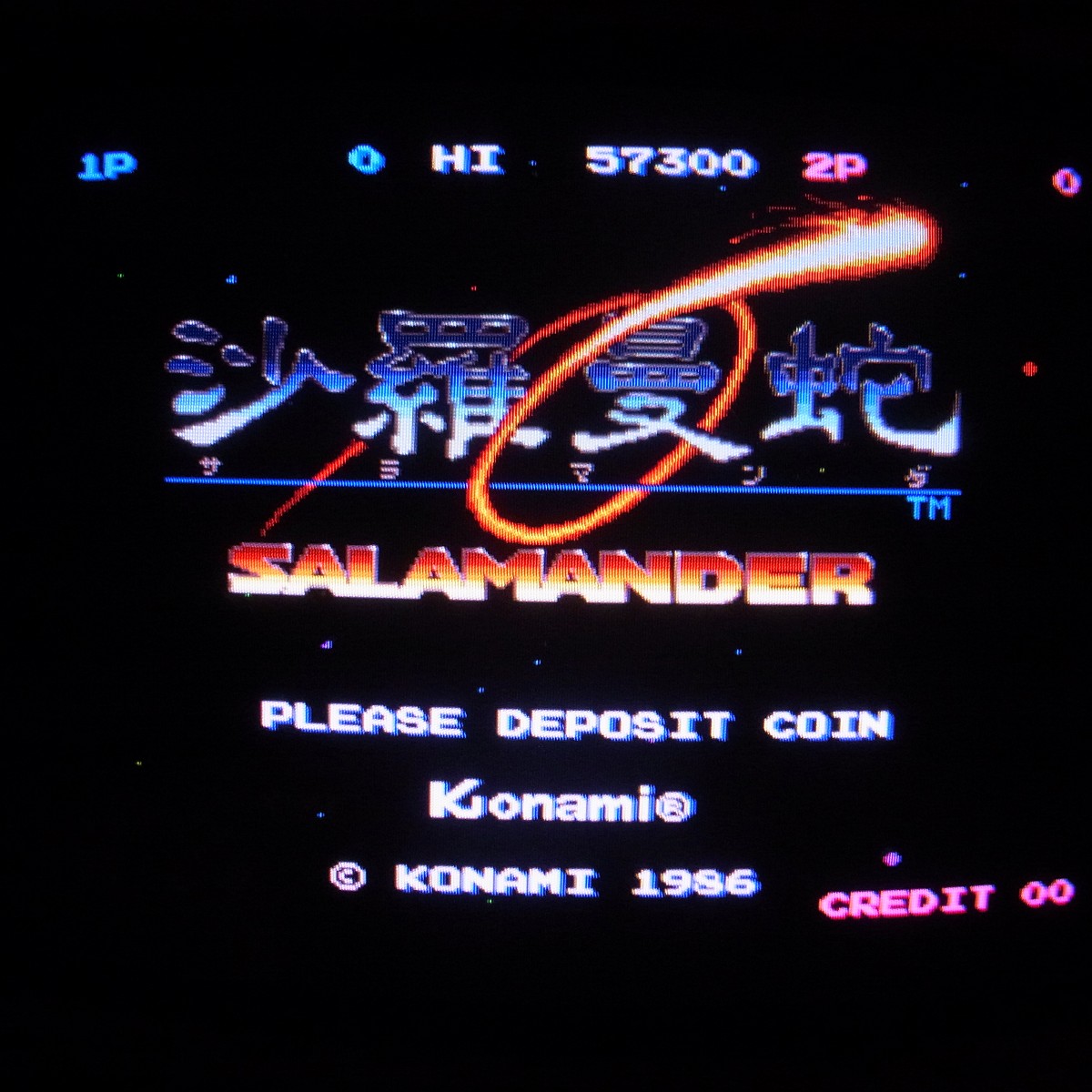 MSX 沙羅曼蛇 サラマンダ 起動確認済 MSX 沙羅曼蛇 サラマンダ 起動確認済 沙羅曼蛇 KONAMI MSXソフト