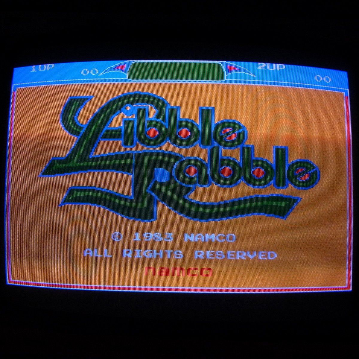 【中古アーケード基板】ナムコ/NAMCO リブルラブル LIBBLE RABBLE おまけインスト付き 動作確認済