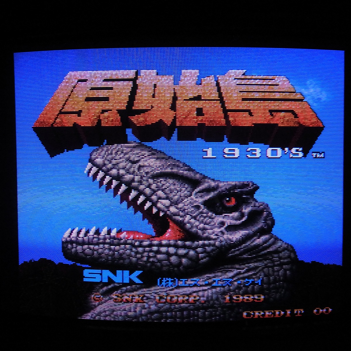 【中古アーケード基板】エスエヌケイ/SNK 原始島 動作確認済