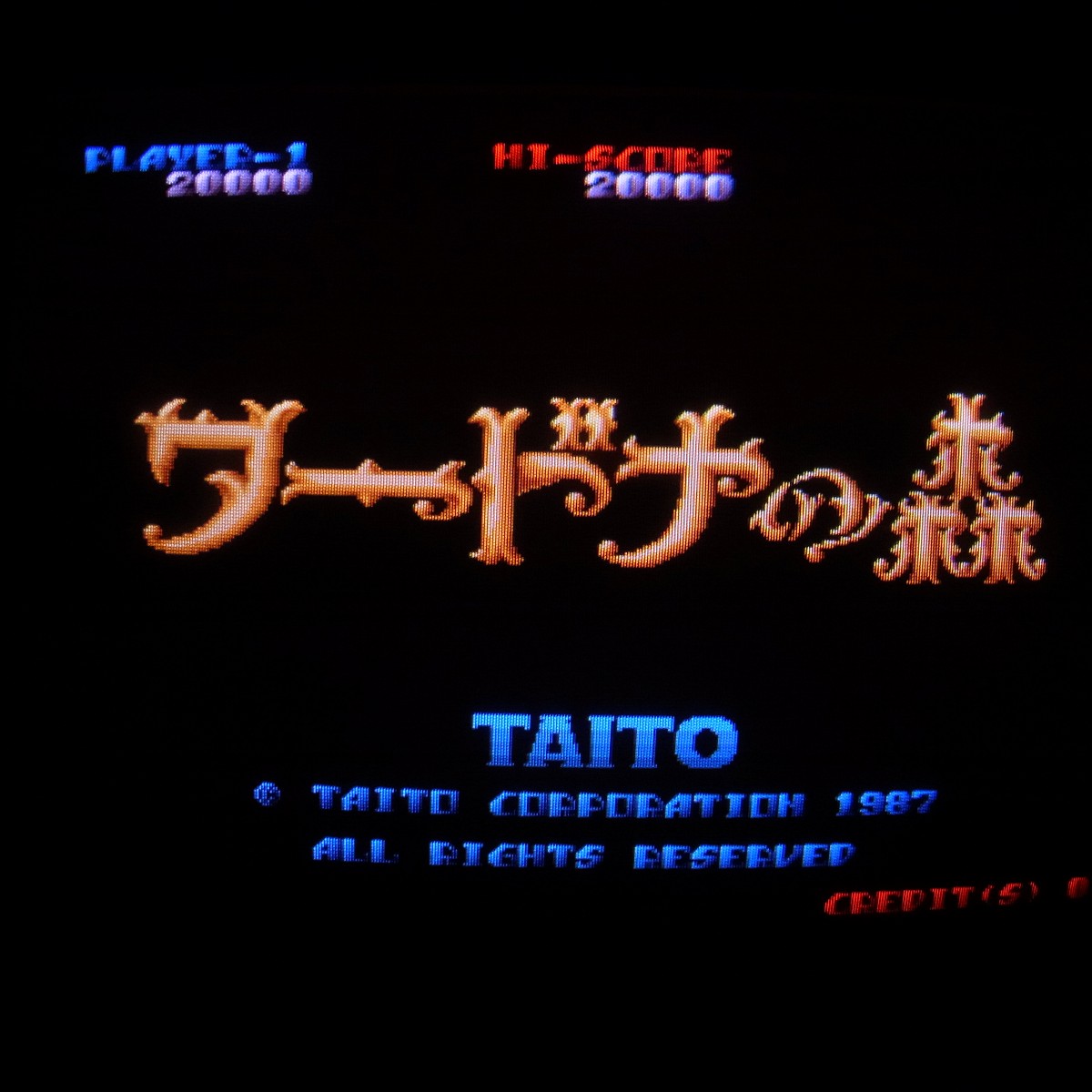 【中古アーケード基板】東亜プラン/タイトー ワードナの森 TOAPLAN TAITO インスト純正 動作確認済